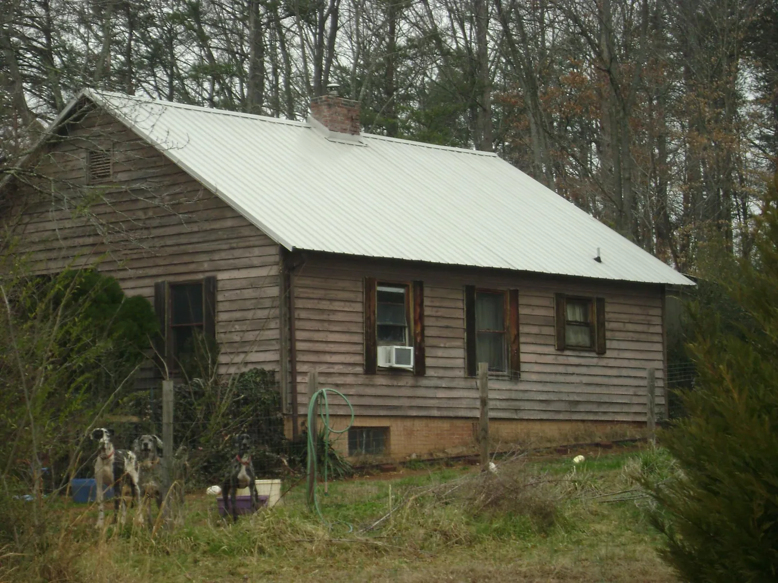 White metal roof on an old wood sided farmhouse, from a Asphalt Shingle Roof Repair job in Altmar